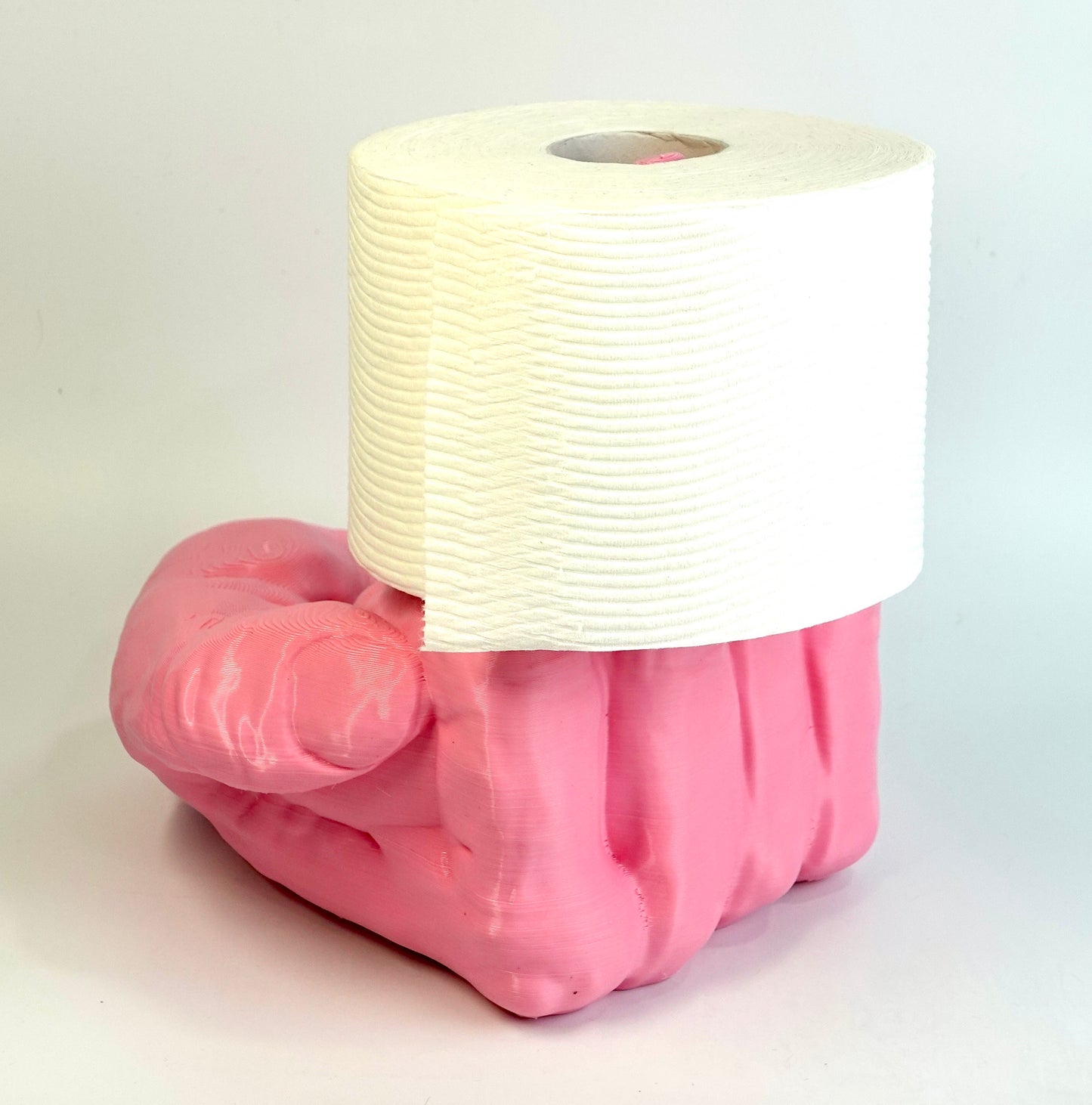 Middle Finger Toilet Paper Holder