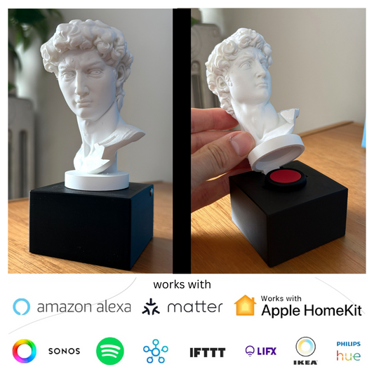 Secret Button Bust - Flic Smart Home Button