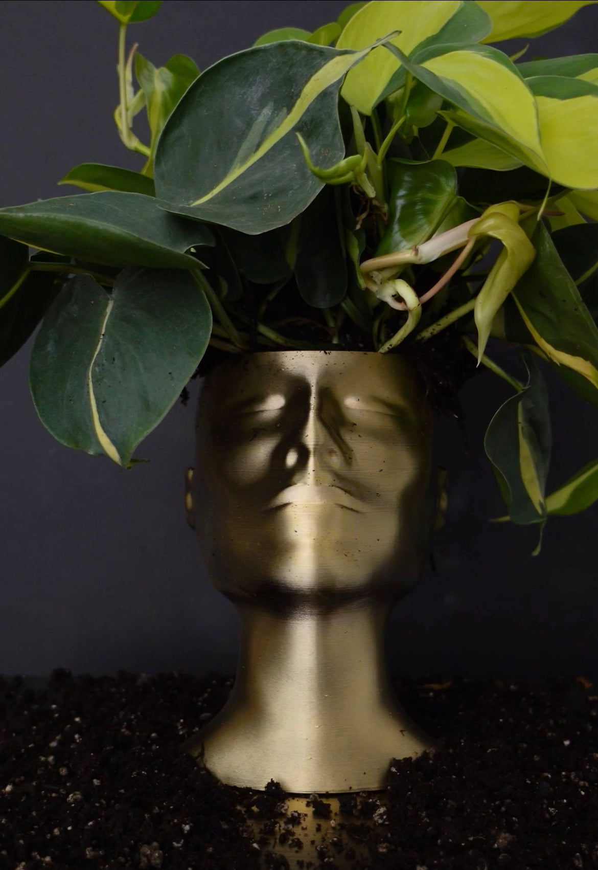 At Peace Planter
