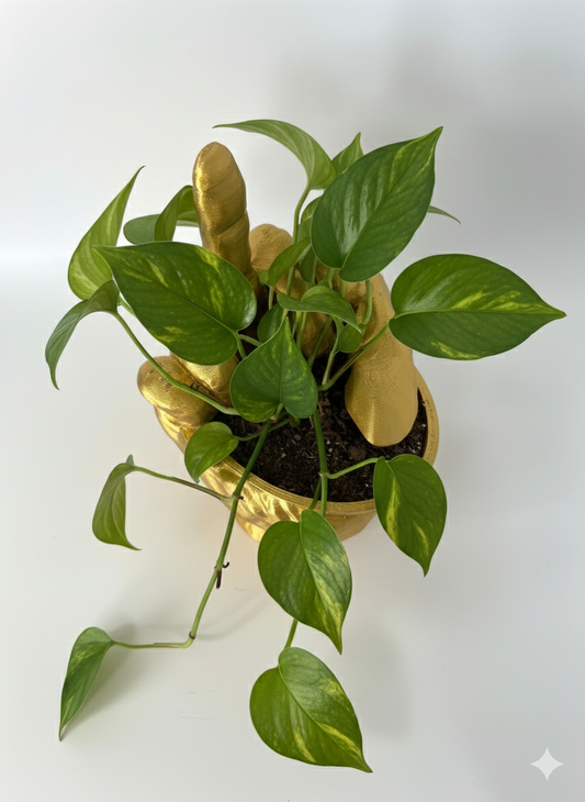ByeBye Planter